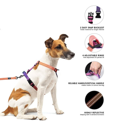 Roses&Poetry Dog Harness with Leash, No Pull Adjustable Harness Leash, Reflective Dog Halter Harnesses Comfort Padded Handle, Pet Walking Harness for Medium Dogs（Mistyrose-M）
