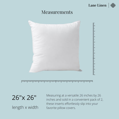LANE LINEN Throw Pillow Insert - Pack of 2 16x16 Pillow Inserts for Decorative Pillow Covers, Throw Pillows Insert for Couch - White