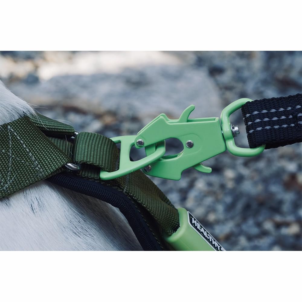 Healthy Harness - Premium Strap Leash with 2 Padded Handles, Reflective Striping for Night Walks, Unique Light Weight Frog Clip to Ensure Secure Connection. Looks Great and Performs Fantastic !