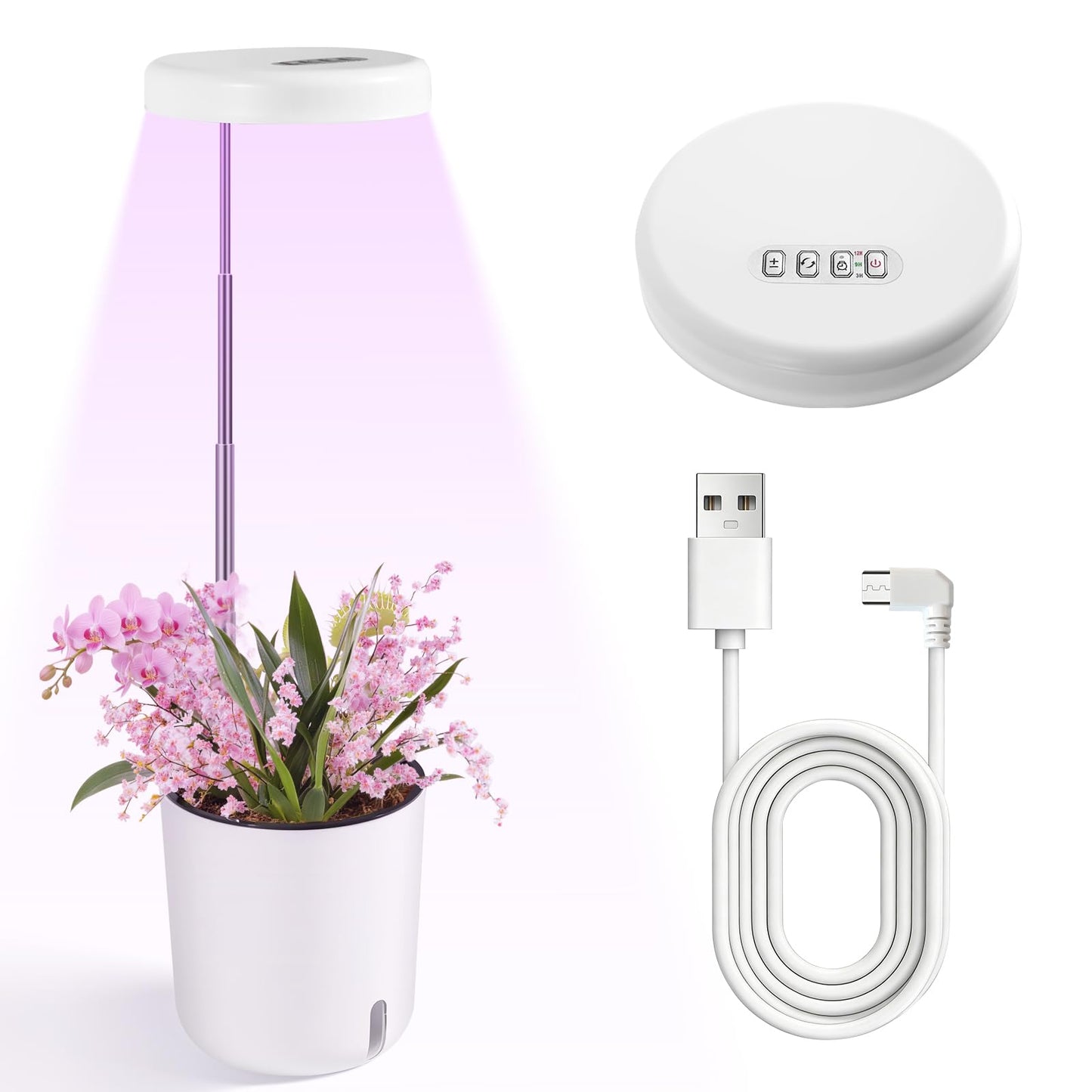 Raygrov Self-Watering Planter with Grow Light — Cute Desk Plant Pot for Office, Bedroom & Window — No Green Thumb Needed, 2-in-1 Wall + Desktop, USB Powered (5W LED, White)