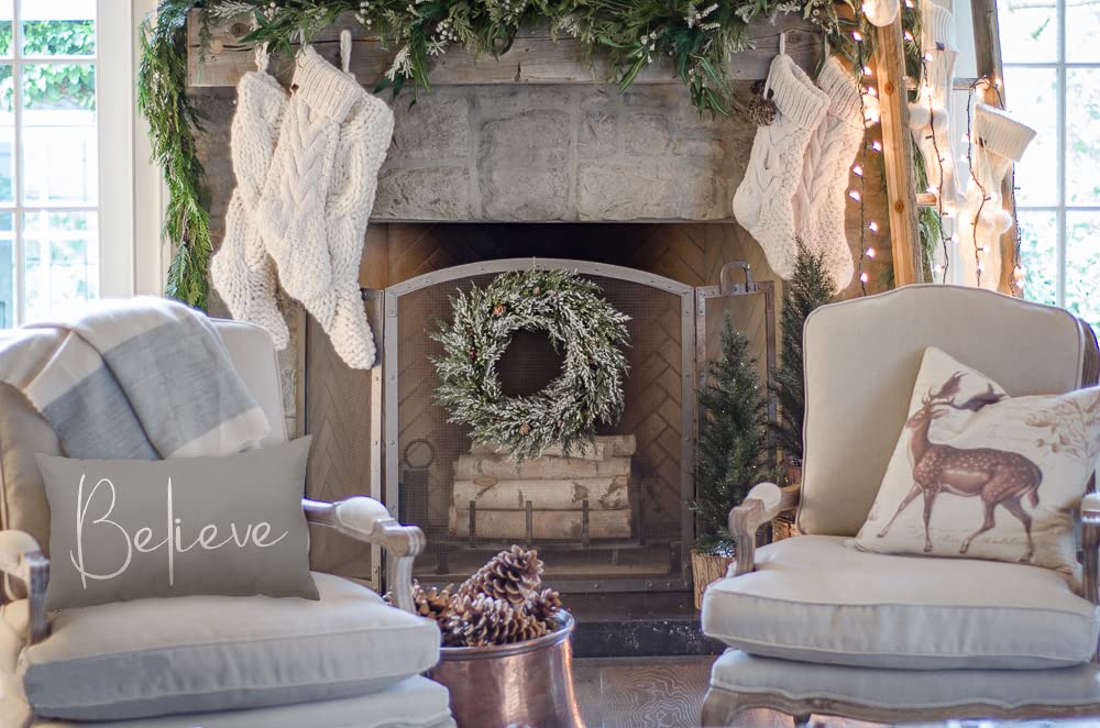DFXSZ Christmas Throw Pillow Covers 12x20 Inch Set of 2 Merry Christmas Farmhouse Decorations Believe Holiday Decor Throw Cushion Case for Home Couch