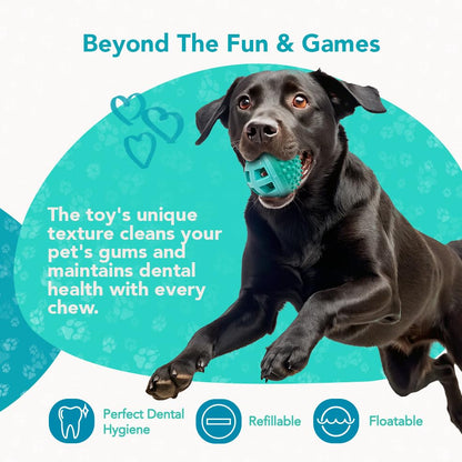 ReThink Pet Treat Dispenser Ball Toy, Beef Flavored Interactive Dispensing, Floatable Dog Toys with Treats