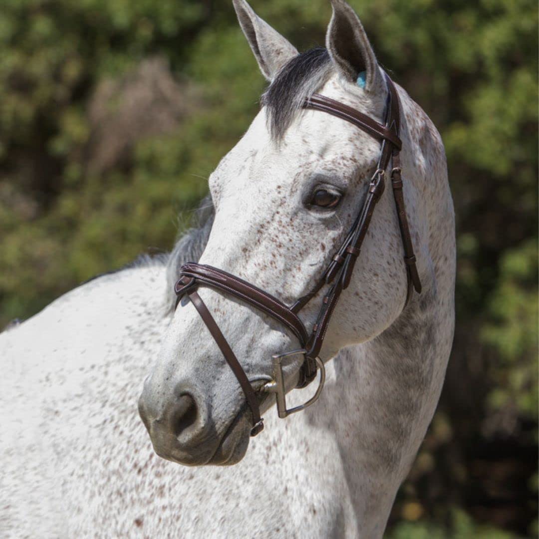 ExionPro Anatomical Snaffle Jumping Bridle for Horses with Removable Flash Noseband & Rubber Reins – Premium Vegetable-Tanned Leather, SS Buckles, Padded MonoCrown, Designer Stitching