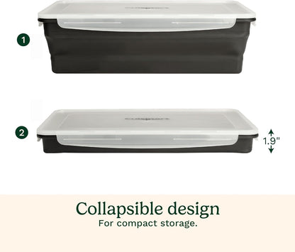 Cuisinart XL Collapsible Marinating Container, Large Capacity Grill Accessories Perfect for BBQs and Tailgates, Marinade and Brining Prep, Collapsible Silicone for Easy Storage