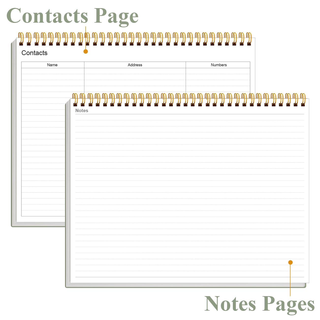 Weekly Productivity Planner - 8.5" x 11" Dashboard Desk Notepad Has 6 Focus Areas to List Tasks for Goals, Projects, Clients, Academic or Meal-Organize Your Daily Work Efficiently, 54 Weeks, Green