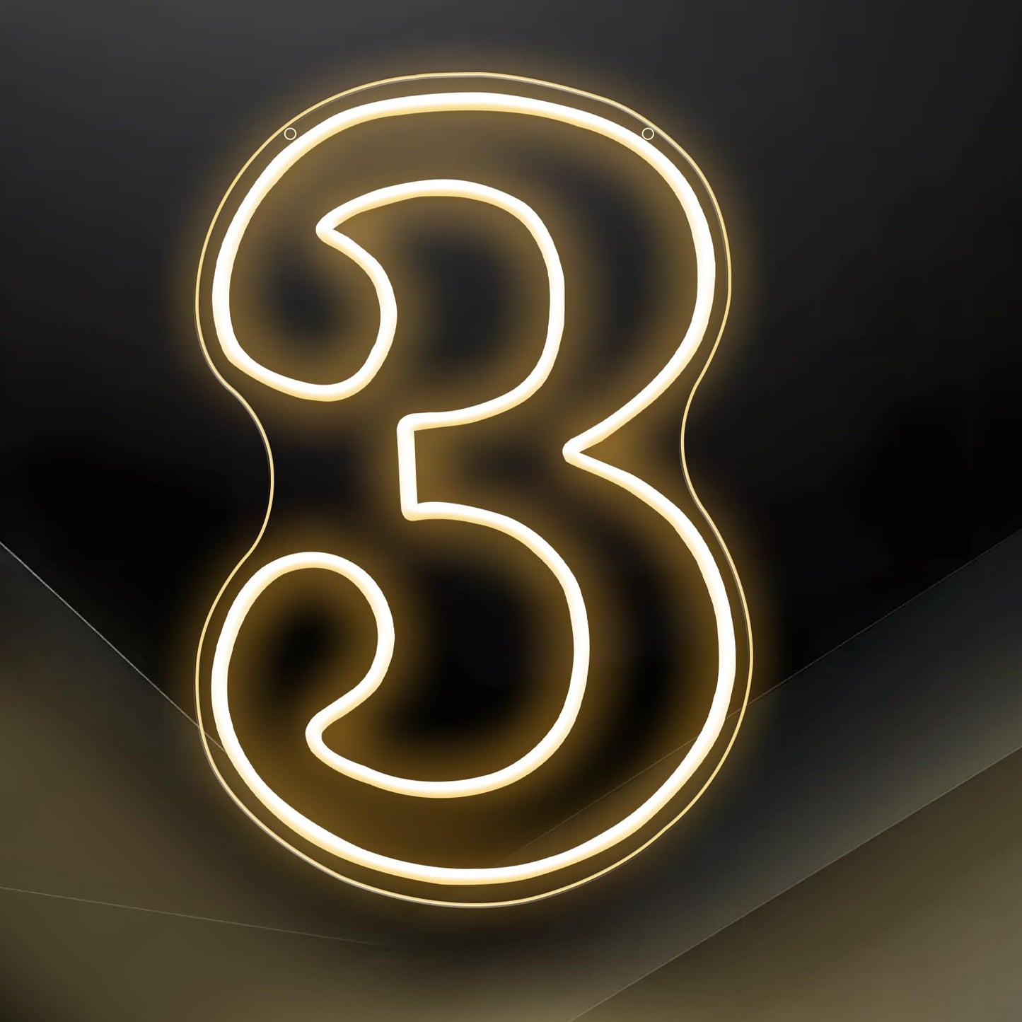 RUMONZS LED Acrylic Light up Number, Decorative Transparent Light up Letters USB Powered Big Number Sign Light for Birthday, Night Light, Party, Anniversary, Christmas, Home Decor, Wedding 12'' (number3)