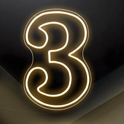 RUMONZS LED Acrylic Light up Number, Decorative Transparent Light up Letters USB Powered Big Number Sign Light for Birthday, Night Light, Party, Anniversary, Christmas, Home Decor, Wedding 12'' (number3)