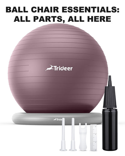 Trideer Exercise Yoga Ball Chair with Base for Home Office Desk, Stability & Fitness Ball Seat to Relieve Back Pain, Home Gym Workout for Abs, Pregnancy Ball with Pump