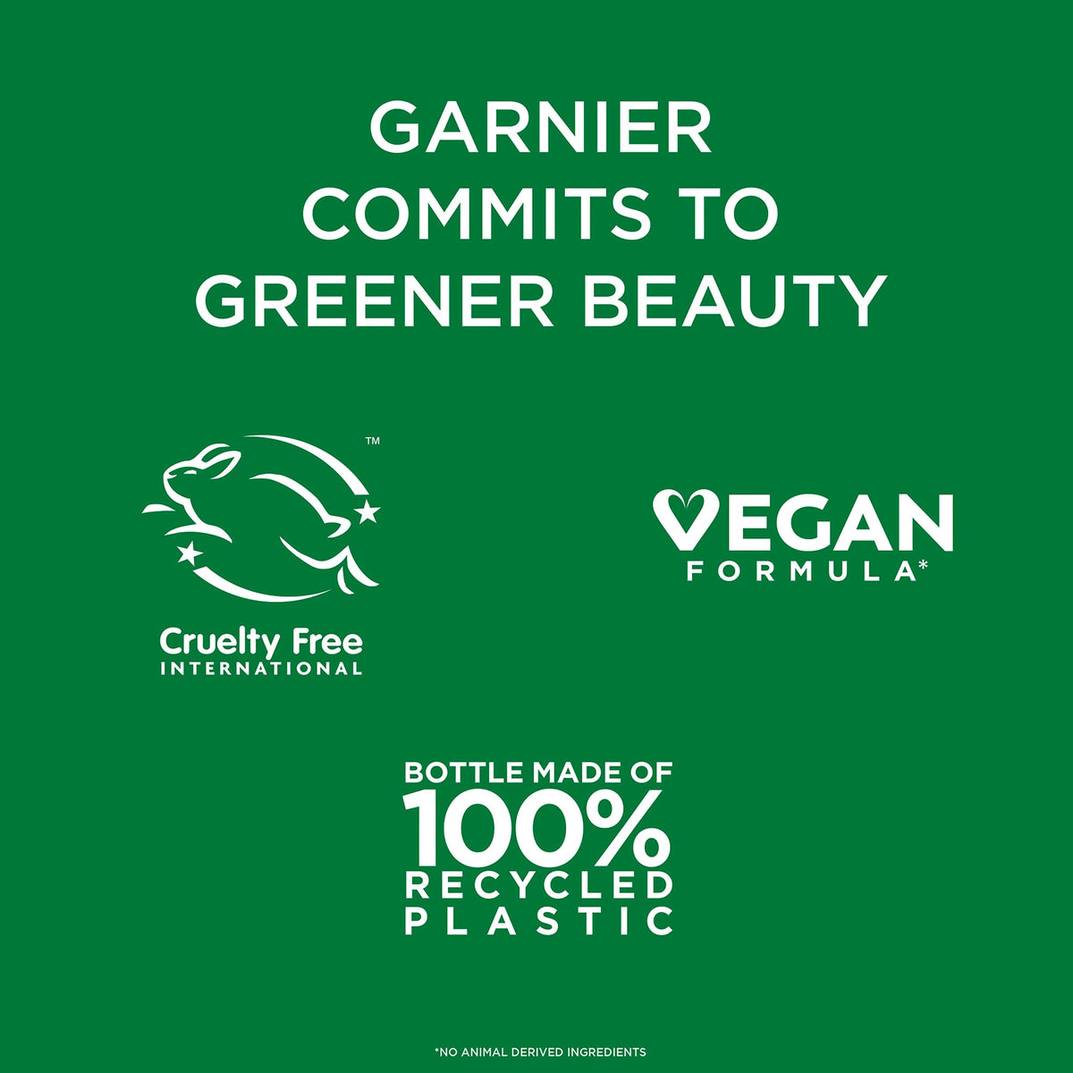 Garnier Micellar Cleansing Water 700ml