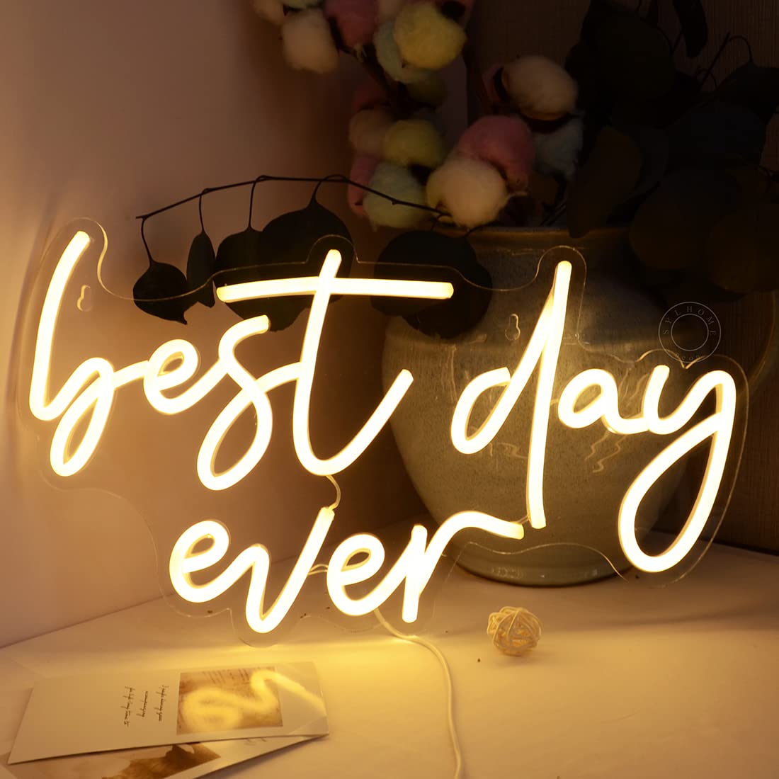 SYLHOME Best Day Ever LED Neon Light Up Sign USB Bedroom Living Room Bar Club Baby Cave Wall Decor Sign Wedding Birthday Anniversary Proposal Party Sign Christmas Gifts 15.8" X 9.1" 5V