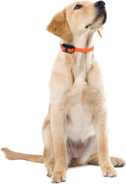 Educator E-Collar Dog Training Collar with Remote | 100 Levels, Waterproof, Rechargeable, Night Light - For Medium/Large Dogs, Orange