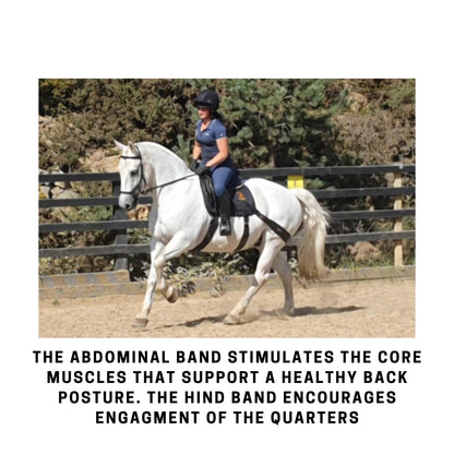 Equine Band System - Core Training Aid for Horses. Saddle Pad and Equibands System (All Purpose)