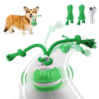 Salodal Interactive Dog Toys Rolling Ball for Puppy/Small Dogs,Peppy Pet Ball for Dogs,Motion Activate,Automatic Moving Dog Toy,USB Rechargeable