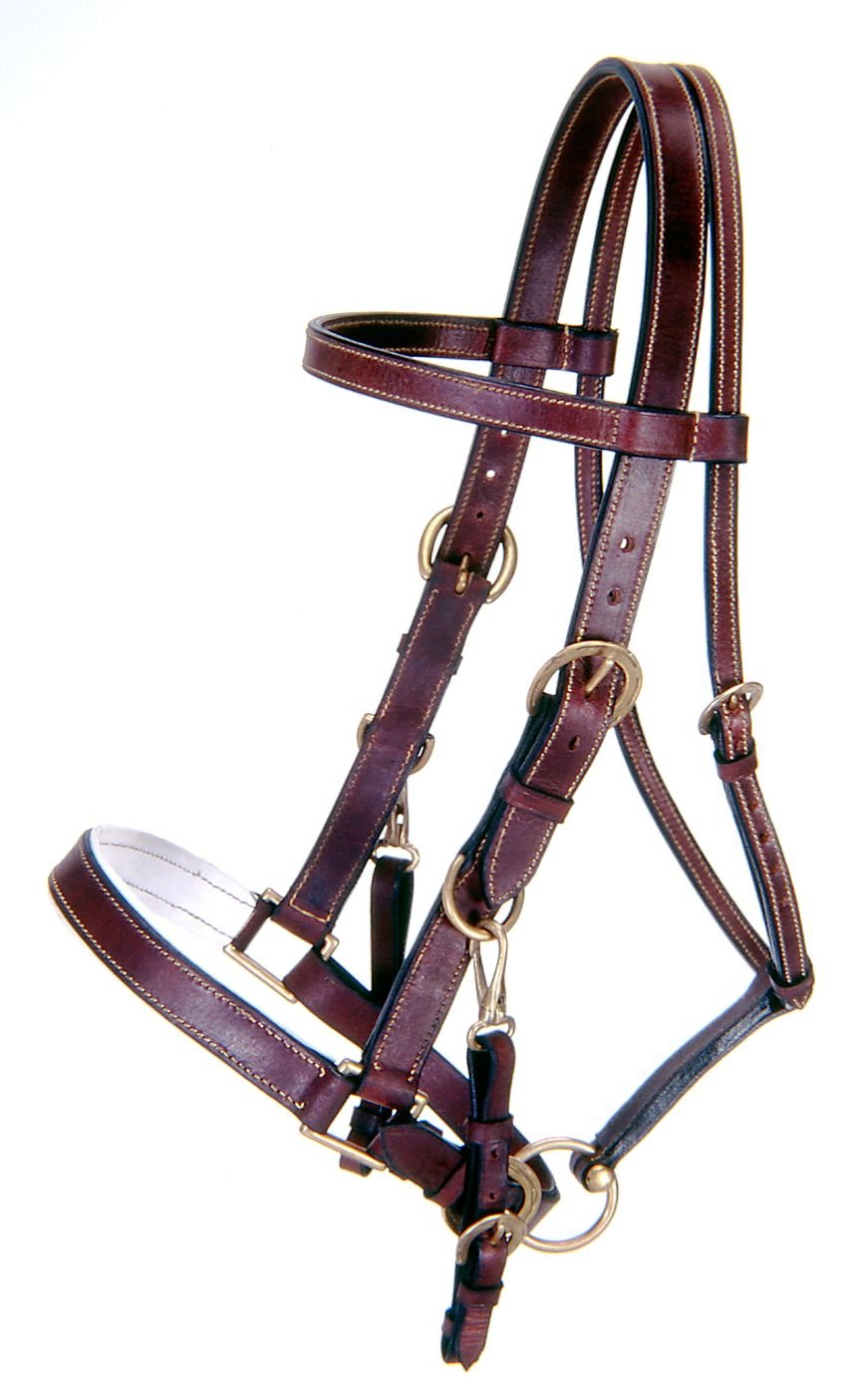 Tough 1 mens australian-equestrian-style horse halters, Black, US