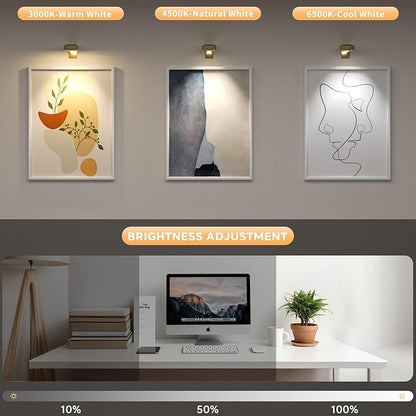 Lightbiz Picture Lights for Wall 3 Pcs, Rechargeable Battery Operated Magnetic Wall Lights with 3 Color Temps, Remote Dimmable Timer Poster Lights for Art Display, Frame, Painting