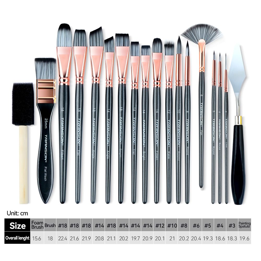Transon 20Pcs Art Paint Brush Kit with Storage Case, 16 Brushes + Foam Brush Spatula Sponge for Acrylic Oil Watercolor Gouache, Adults Teens Beginners Art Supplies