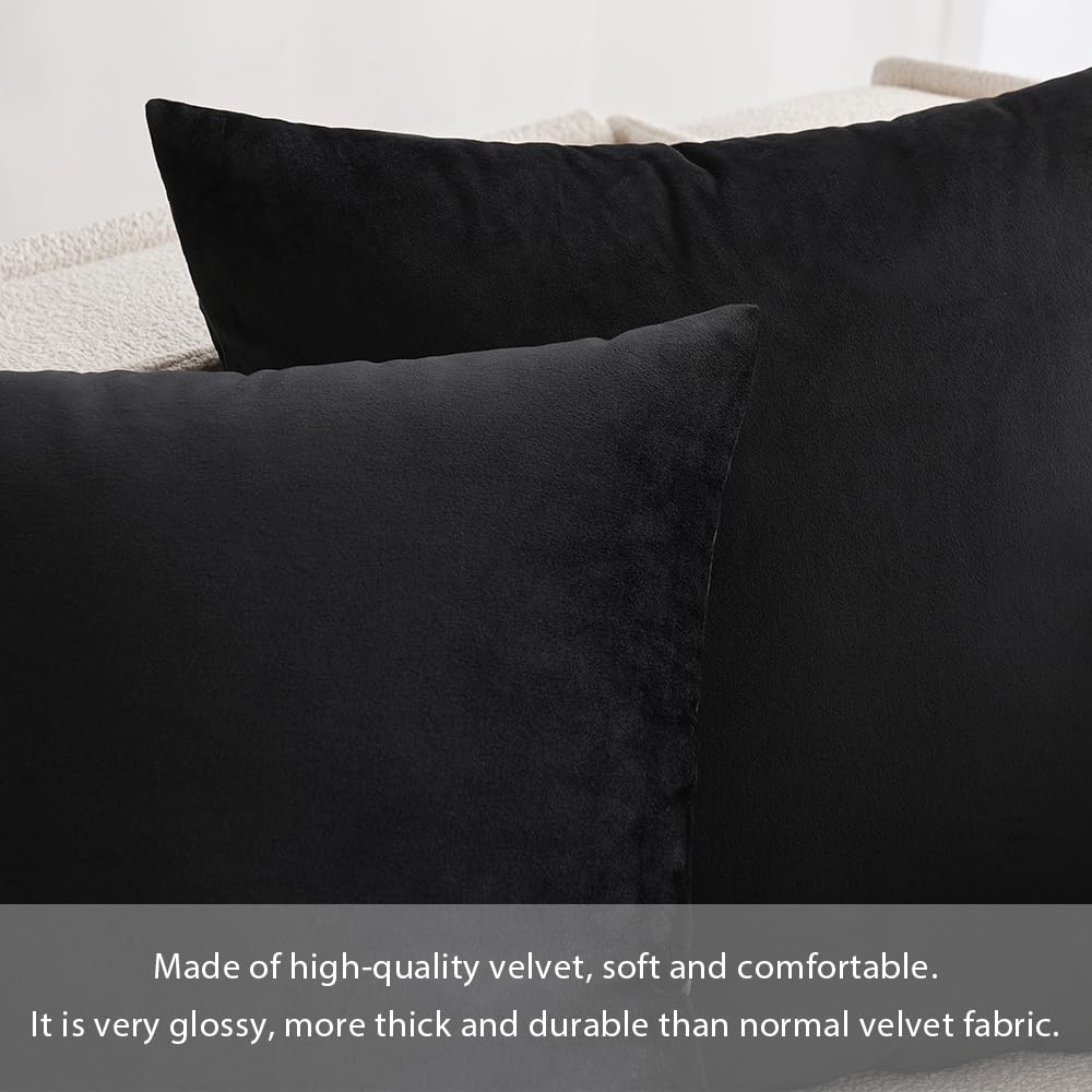 MIULEE Velvet Pillow Cover Soft Luxury Decorative Throw Pillow Cover Eruo Sham Single Rectangle Cushion Case for Couch Sofa Bedroom Car Decor,24x24 Inch Black