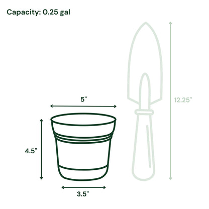 Bloem Saturn 5" Round Plastic Planter - Indoor/Outdoor, Snap-in Saucer & Drainage Holes, Fuchsia, 4-Pack