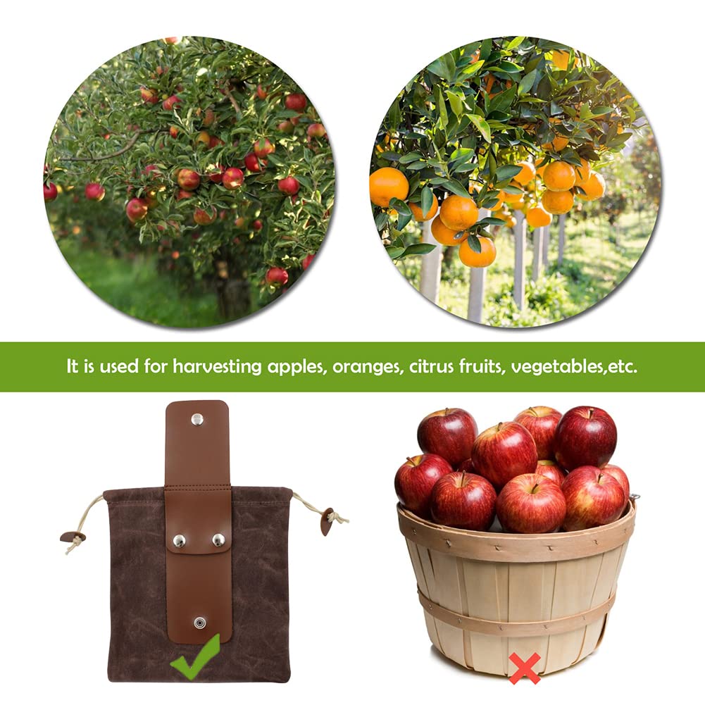 ASENIE Foraging Bag Waxed Canvas Collapsible Outdoor Camping Foraging Pouch Mushroom Storage Water Resistant Leather Bushcraft Belt Tinder Dump Pouchs Brown for Travel Camping Hiking Bag Only (Brown)