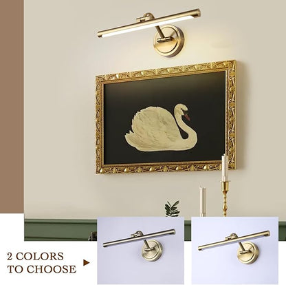 Modern Dimmable Picture Lights for Wall 15.7 Inch Hard-Wired LED Picture Frame Lights for Paintings Gallery Light with Adjustable Swing Arm Display Lights For Artwork, 7W, 2700K, Warm White - Brass