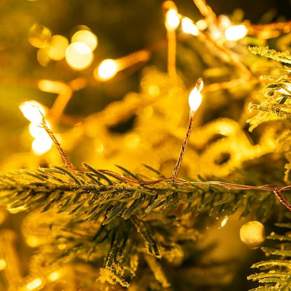 Plug in Firecracker Lights 100FT 1000 LED Warm White Copper Wire Indoor Cluster Fairy Lights with Remote Timer for Bedroom, Living Room, Tree, Garden, Porch, Patio, Backyard, Christmas Tree