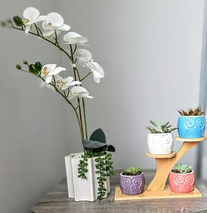Blisse Wood Owl Planter (Blue)