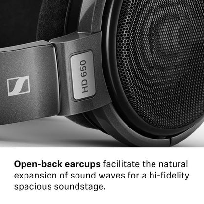 Sennheiser Consumer Audio HD 650 - Audiophile Hi-Res Open Back Dynamic Headphone, Titan