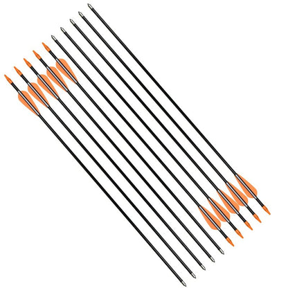 Practice Fiberglass Arrows Archery 24 Inch Target Shooting Safetyglass Recurve Bows Suitable for Youth Woman Beginner 12PCS