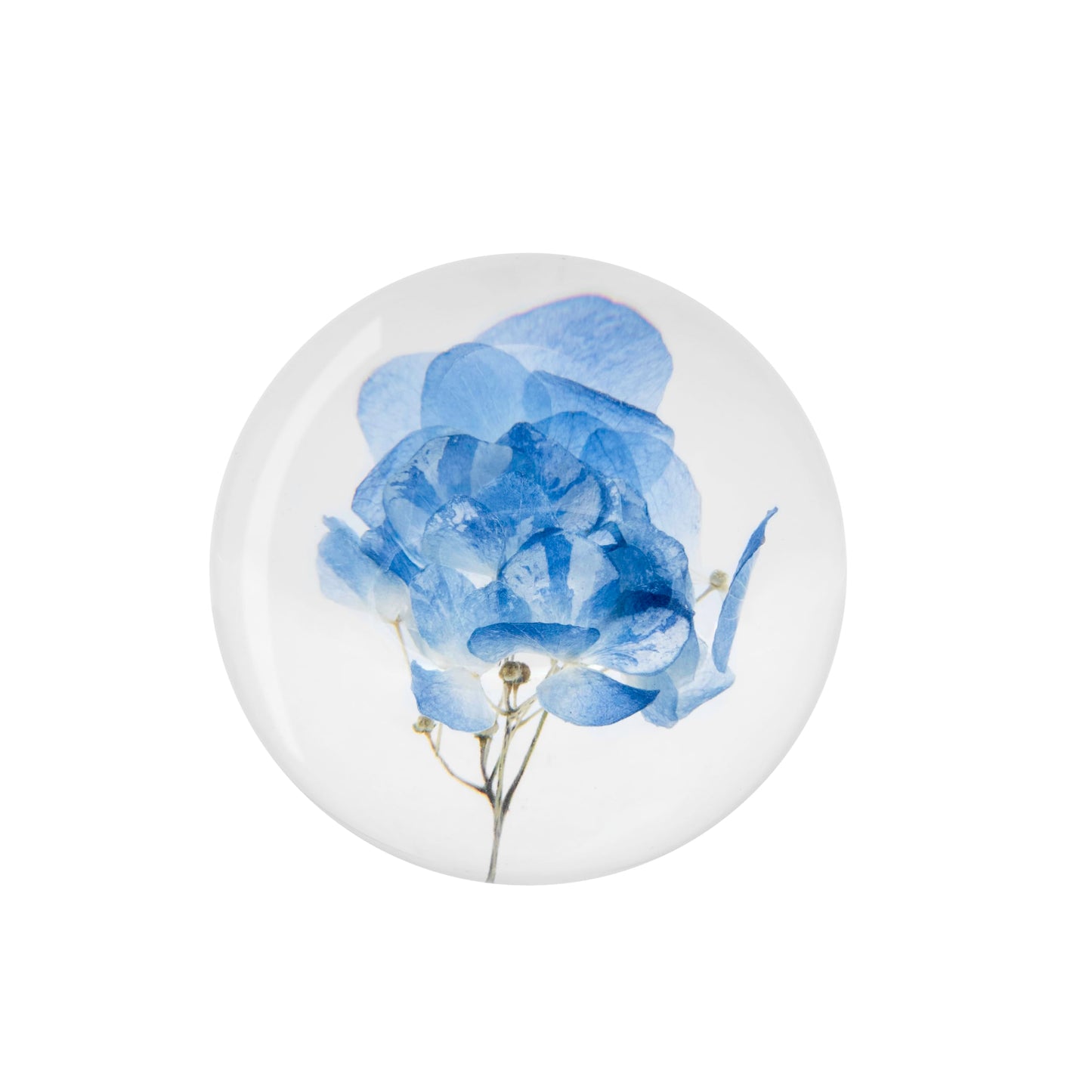 NouvoCrescent Real Blue Hydrangea Paperweight - Home Decor Crystal Resin Ball 3.14in (80mm) - Clear Blue Hydrangea Flower Globe for Special Days - Sphere Figurine Office Paperweight w/Flat Bottom