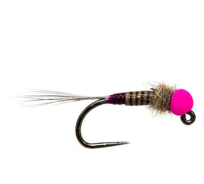 36 Effictive Tungsten Bead Perdigon Nymphs Fly Fishing Flies Assortment | Trout and Grayling Fishing Lure | Waterproof Fly Box