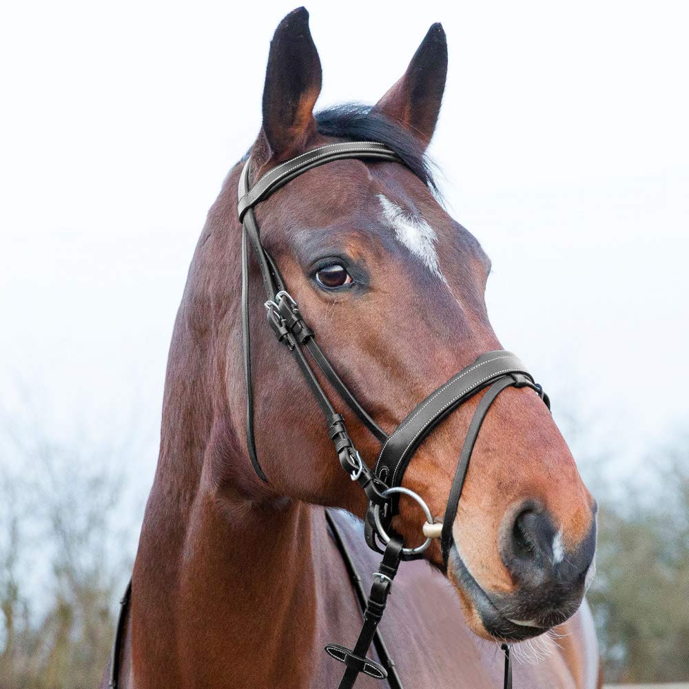 Horze Venice Padded Synthetic Leather Snaffle Bridle with Flash and Reins - Black - Horse