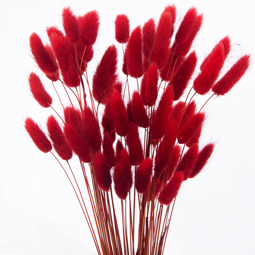 JOJAZE 60pcs Dried Bunny Tails Flowers Red Pampas Grass Natural Dried Floral Arrangement Dry Flowers for Christmas Halloween Boho Decor Home Wedding DIY Craft Decoration (16")…
