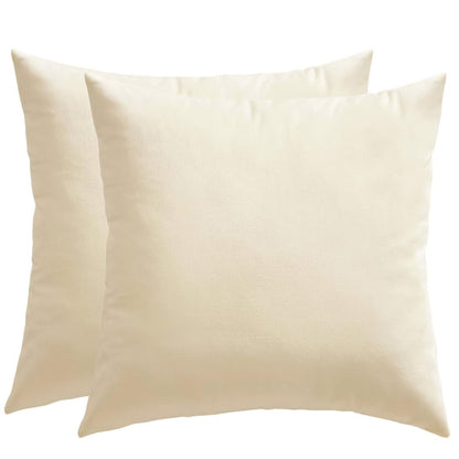 LANE LINEN Throw Pillow Insert - Pack of 2 16x16 Pillow Inserts for Decorative Pillow Covers, Throw Pillows Insert for Couch - White