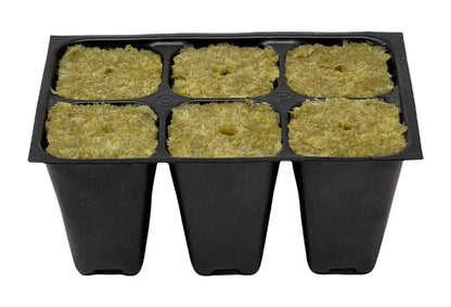 The Hydroponic City Seed Starter Tray, 720 Cells (120 Trays - 6 Cells Per Tray) + Plant Stakes