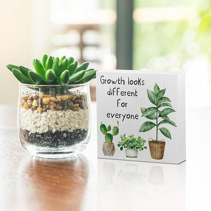 Inspirational Growth Mindset Wooden Box Sign, Motivational Gifts Rustic Farmhouse Home Therapy Counseling Office Classroom Desk Table Shelf Decor, Positive Affirmations Wood Block Plaque