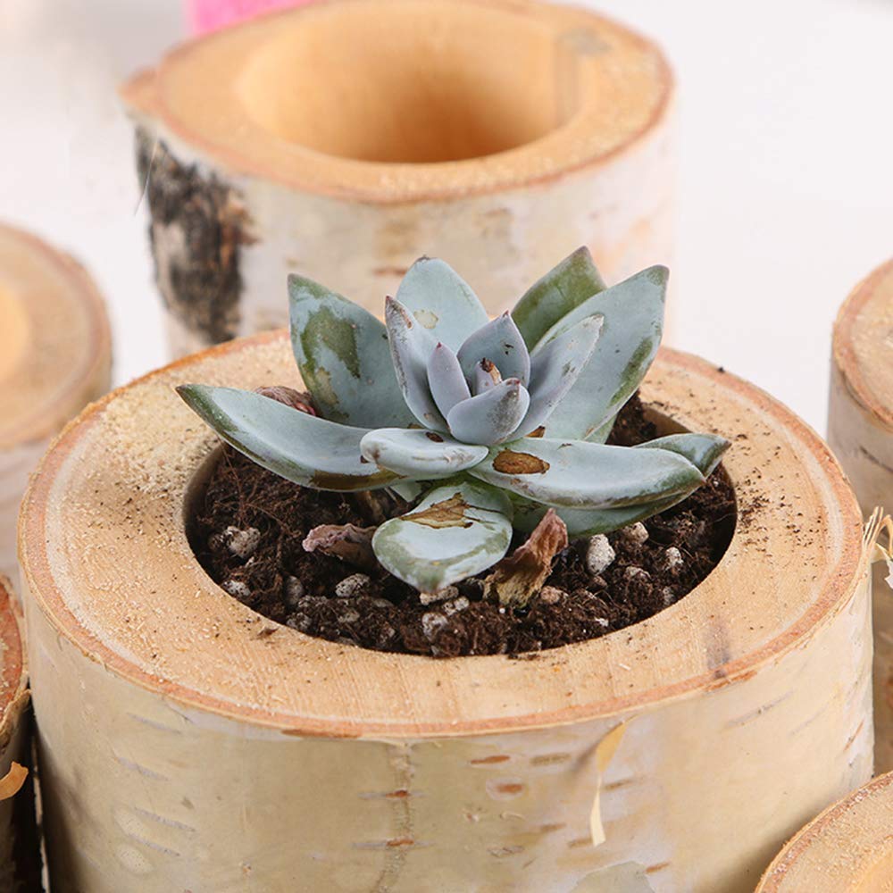 Christmas Birch Tealight Holder Real Birch Log Candle Holders Wooden Tealight Candleholder Succulent Plant Holder for Home Party Fireplace Decoration (Pack of 4 Same Height 2.36"x2.36")