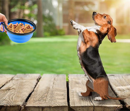 MXZONE 3 Collapsible Silicone Dog Bowl, Foldable Expandable Cup Dish for Small Pet Cat Food Water Feeding Portable Travel Bowl, Pet ID-Tag