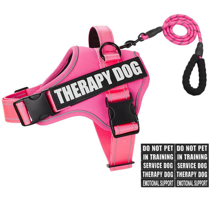 Dog Vest Harness and Leash Set, Animire Reflective Service Dog Vest with 10 Patches, 3 Rings No Choke Pet Vest for Leash Placement, in Training Dog Harness for Small Medium Large Dogs(Hot Pink,XS)