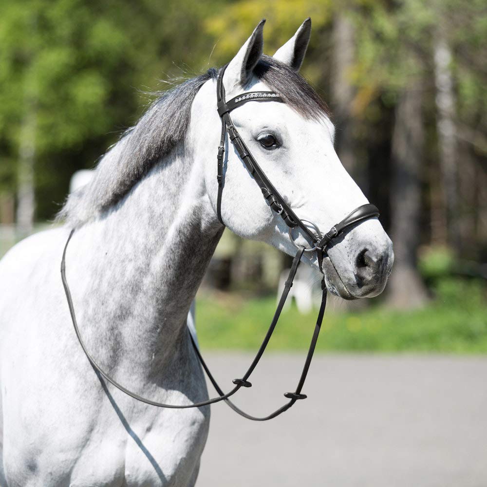 HORZE Bergen Leather Remont Bridle - Black - Cob