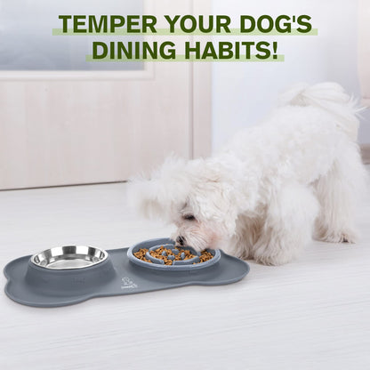 Pecute Slow Feeder Dog Bowls to Slow Down Eating, Dog Bowl Slow Feeder with No-Spill Non-Skid Silicone Mat, Food-Grade Safe Dog Food Bowls Slow Feeder, Stainless Steel Dog Water Bowl for Dogs Cats