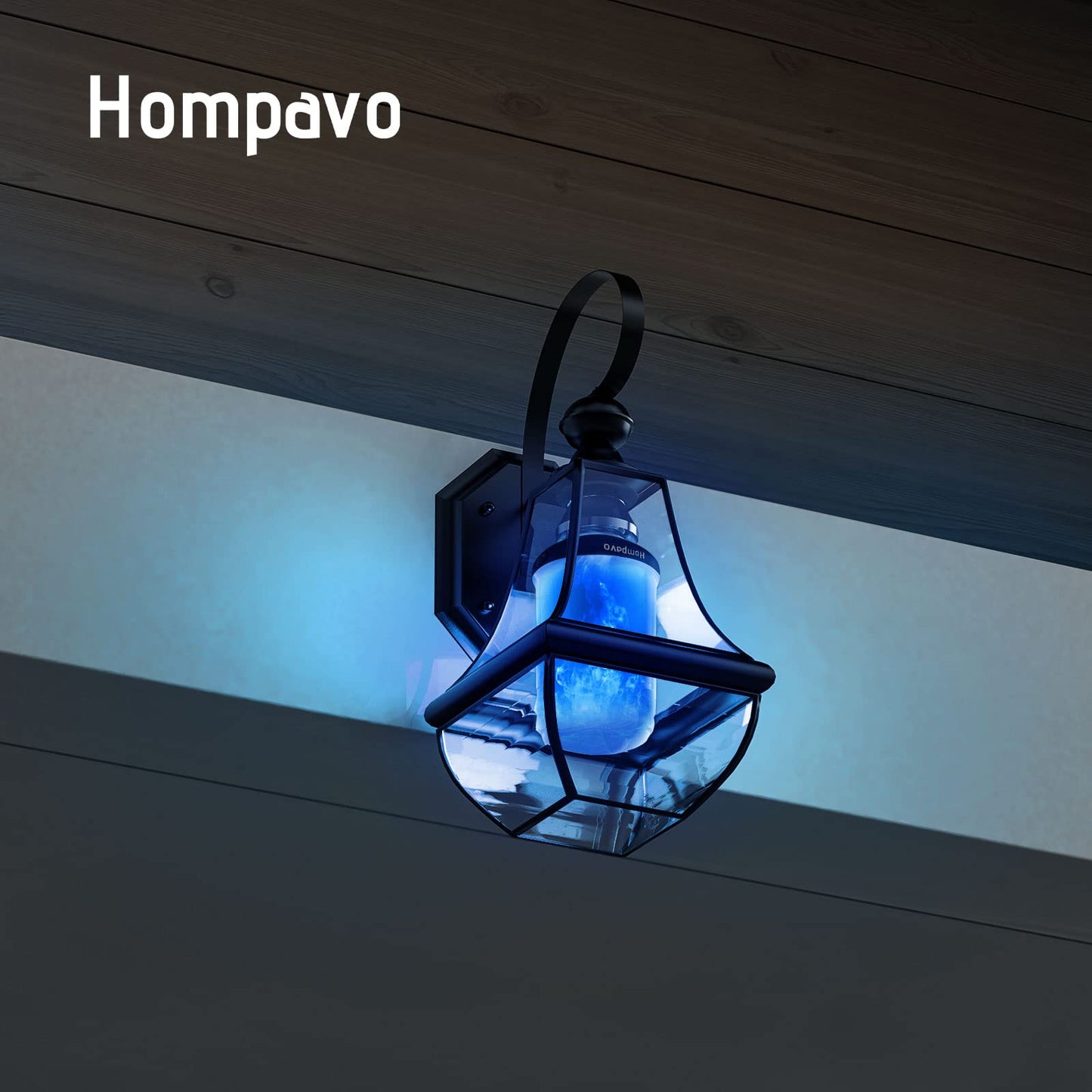 Hompavo 【Upgraded】 LED Flame Light Bulbs, 4 Modes Flickering Light Bulbs with Upside Down Effect, E26 Flame Bulb for Halloween Christmas Party Patio Porch Home Indoor Outdoor Decorations - 2 Blue