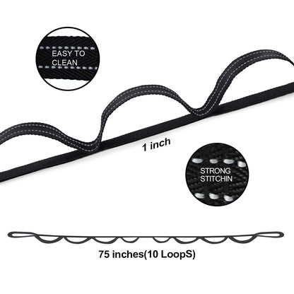 A AZURELIFE Premium Durable Stretch Straps with Loops, Stretching Strap for Physical Therapy, Multi-Loop Yoga Strap Fitness Exercise Strap for Yoga, Pilates, Dance, Flexibility&Exercise