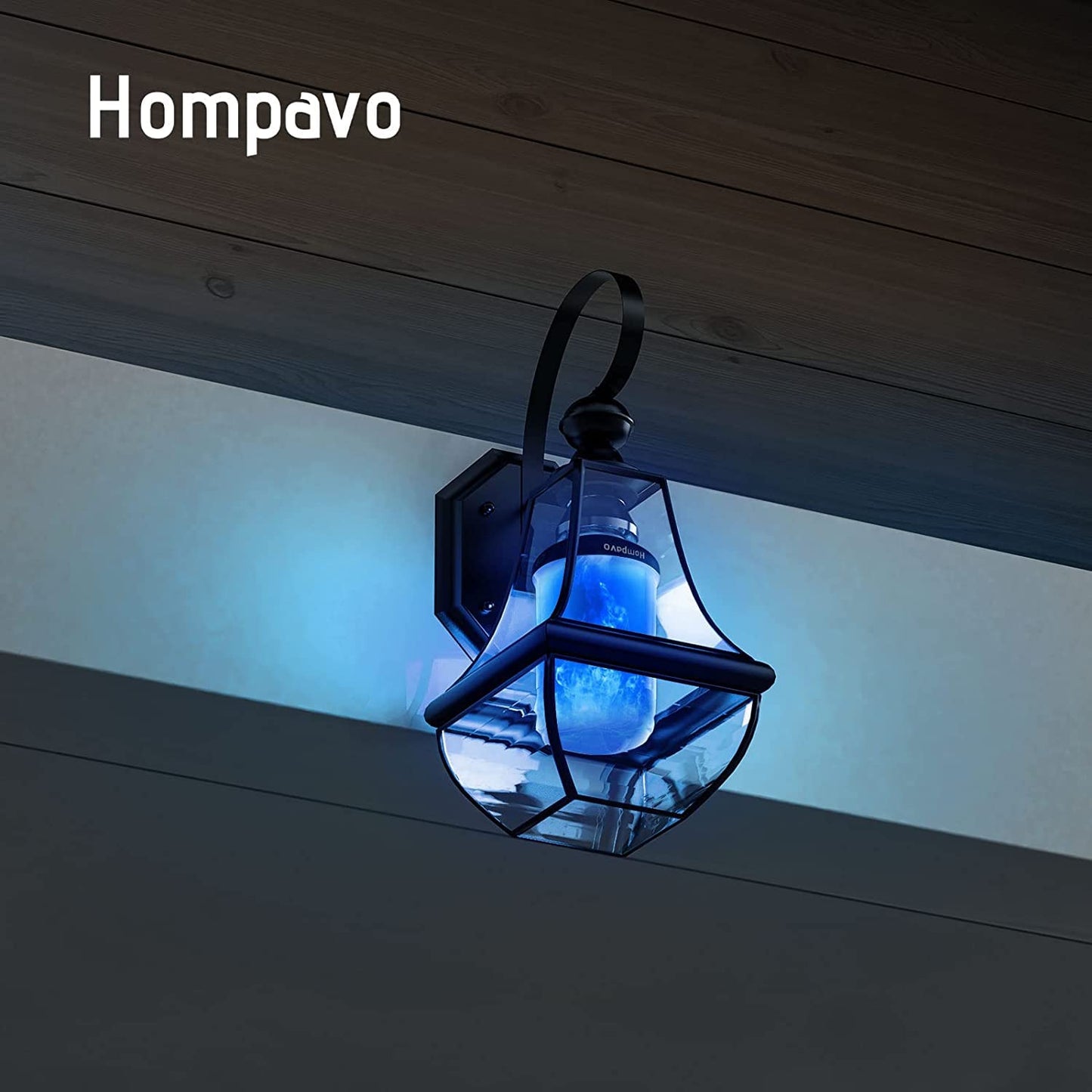 【Upgraded】Hompavo LED Flame Light Bulbs, 4 Modes Flickering Light Bulbs with Upside Down Effect, E26 Flame Bulb for Halloween Christmas Party Patio Porch Home Indoor Outdoor Decorations - 4 Blue
