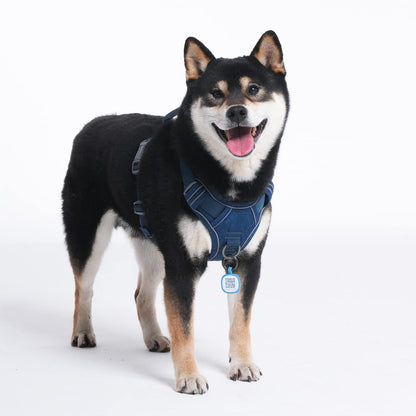 Pawaii No Pull Dog Harness with Pet ID Tag,Reflective Strips No Choke Front O Ring Breathable Mesh Adjustable Soft Padded Pet Vest with Easy Control Handle for Small Dogs