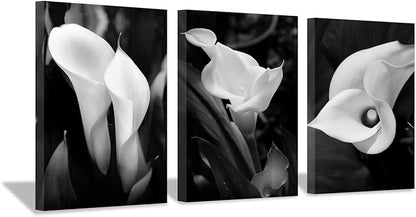 Hardy Gallery Floral Artwork Flower Painting Picture: Calla-Lily Print on Canvas Set for Wall Art (16”x12”x3pcs)