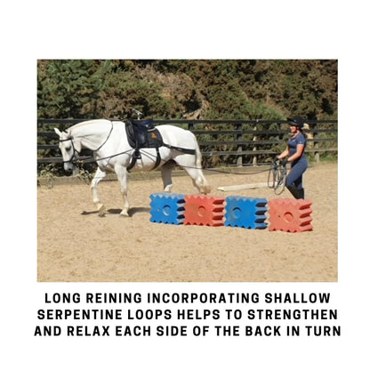 Equine Band System - Core Training Aid for Horses. Saddle Pad and Equibands System (All Purpose)