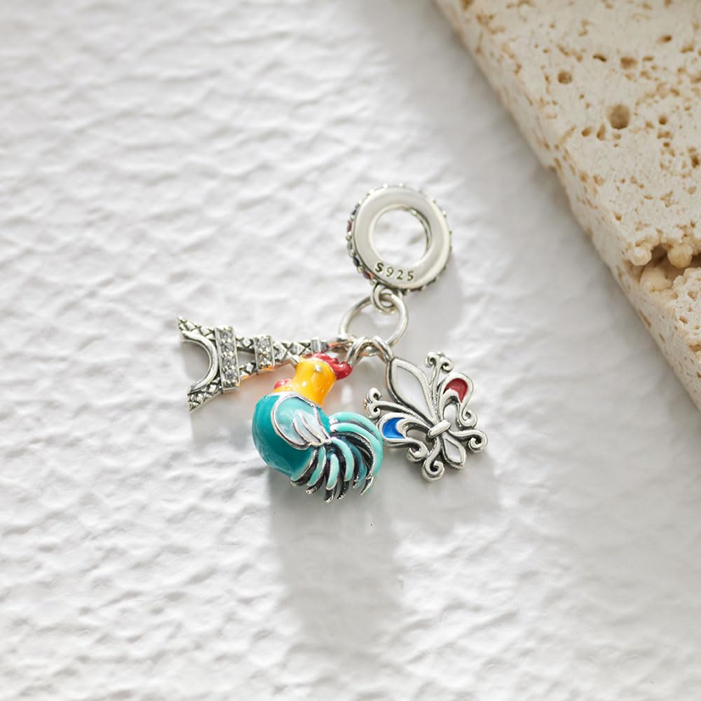 BOIGEGU 925 Silver Charms for Pandora Bracelets Le Coq gaulois/La Tour Eiffel Charm Necklace Charms Souvenirs Charm Jewellery Gifts for Women DIY Collectors