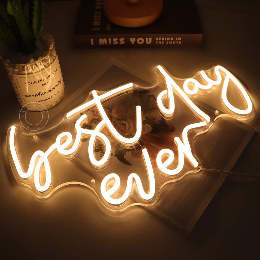 SYLHOME Best Day Ever LED Neon Light Up Sign USB Bedroom Living Room Bar Club Baby Cave Wall Decor Sign Wedding Birthday Anniversary Proposal Party Sign Christmas Gifts 15.8" X 9.1" 5V