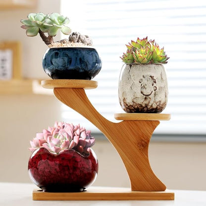 YYW Succulent Pots with Drainage Ceramic Plant Pot Indoor Small Flower Cactus Pots with Tree Tier Bamboo Stand Shallow Planter for Garden Windows Home Office Decor Plant Lovers Gifts