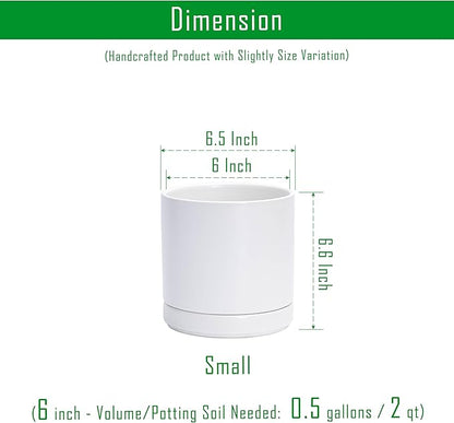 D'vine Dev 6.5 Inch Ceramic Planter Pot with Drainage Hole and Saucer, Indoor Cylinder Round Flower Pot, White, 94-O-C-1